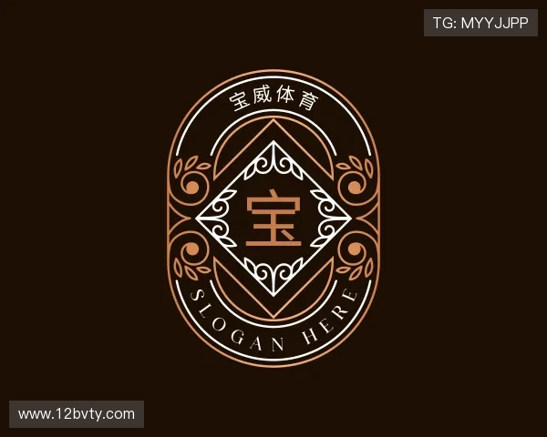 指南宝威体育网页版